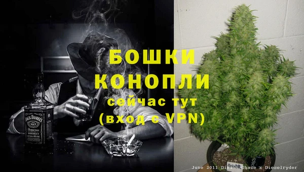 ешки Бронницы