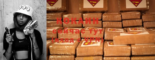 ешки Бронницы