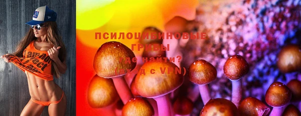 герыч Бородино