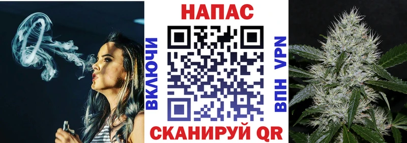 Купить где  Светлоград  Шишки марихуана сатива 